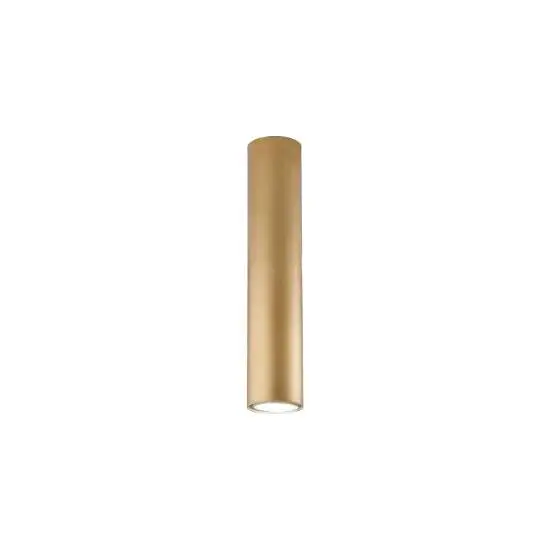 BL297-PL1-ORO