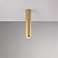 BL297-PL1-ORO