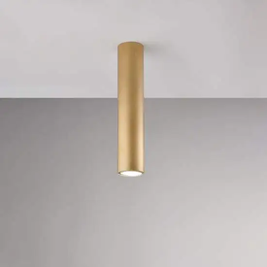 BL297-PL1-ORO
