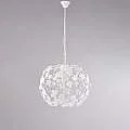 BL50-3-BCO