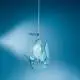 Sospensione Moderna Peter Pan Polilux ® Azzurro Peter Pan Acquamarina 1 Luce E27