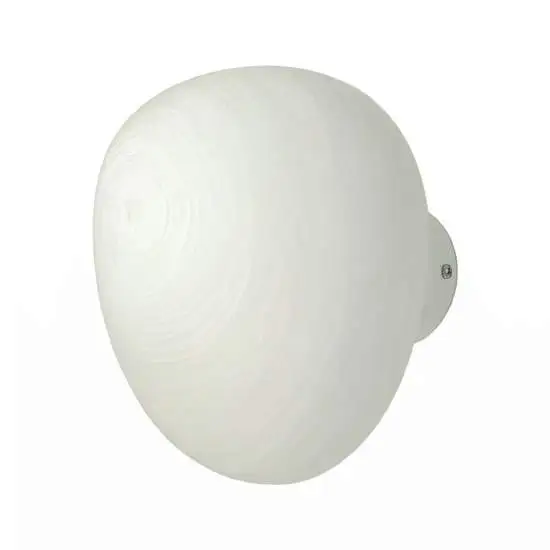 BL363-AP1-BCO