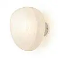 BL363-AP1-BCO