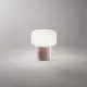 Lumetto Moderno Otty Ceramica Tortora Vetro 1 Luce G9 Ip20