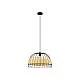 Lampadario Industrial Anwick 1 Luce Metallo Nero