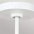 FE-BRISBIN-MW
