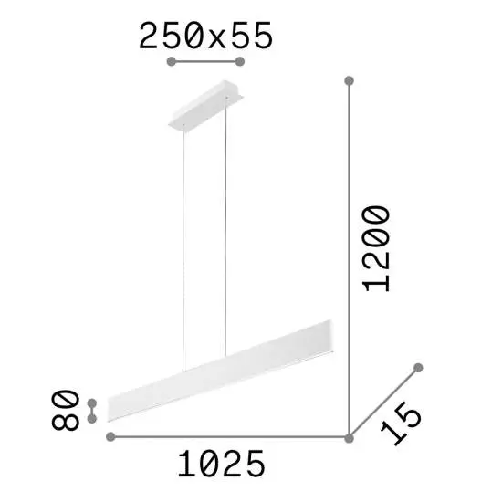 173245