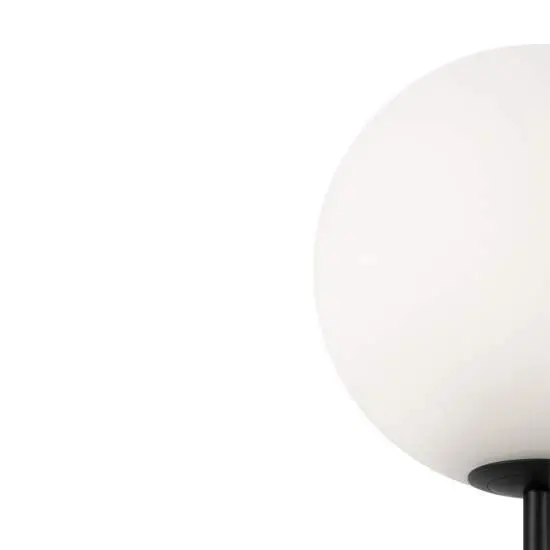 Piantana Contemporanea Ring Metallo Nero 1 Luce E Diffusore Bianco | Maytoni
