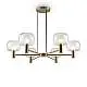 Lampadario Contemporaneo Vision Alluminio Oro 6 Luci Diffusori In Vetro Trasp