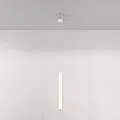 P022PL-L20W3K
