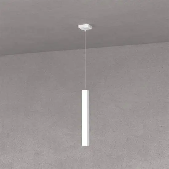 1173_S1-BI