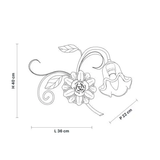 BL274-AP1-BCO